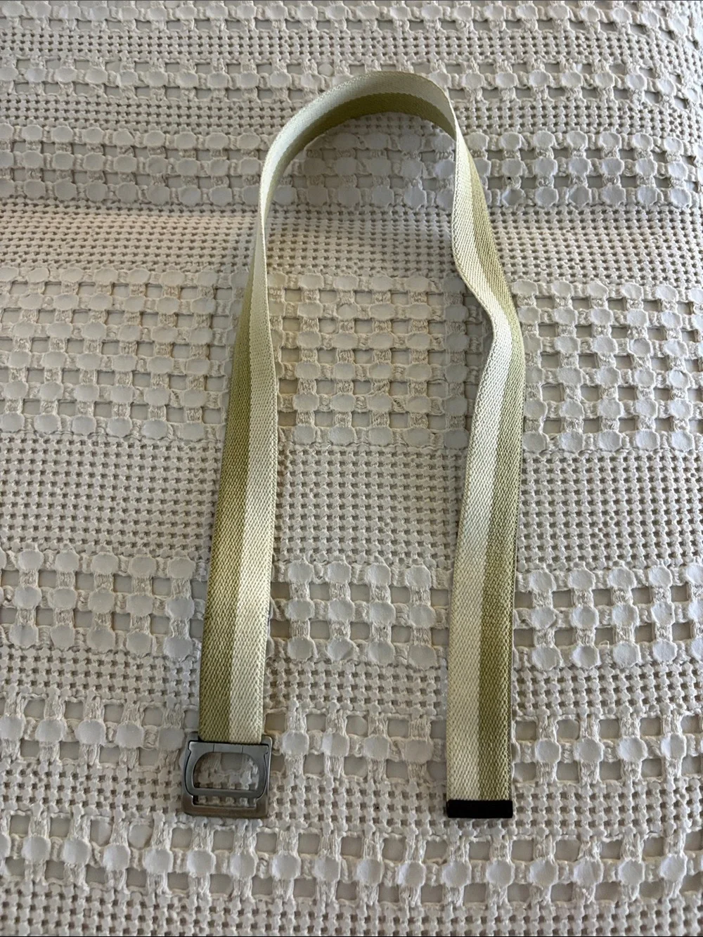 Salvatore Ferragamo Cream and Light Green Webbing Belt with Silver Buckle